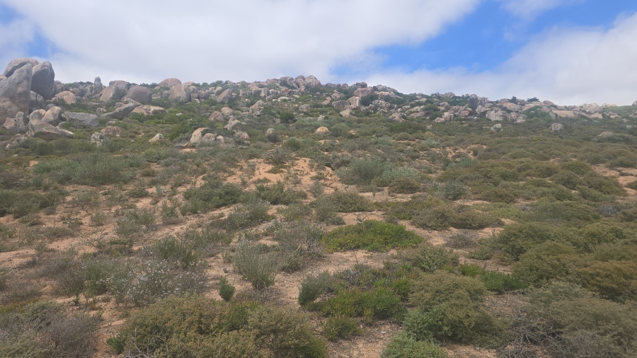 0 Bedroom Property for Sale in St Helena Views Western Cape